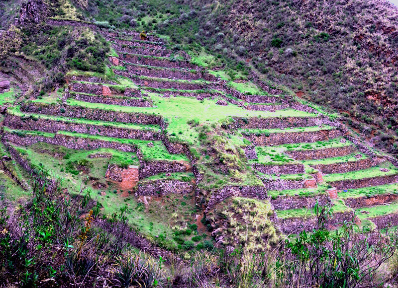 hummingbird terraces hiking tour