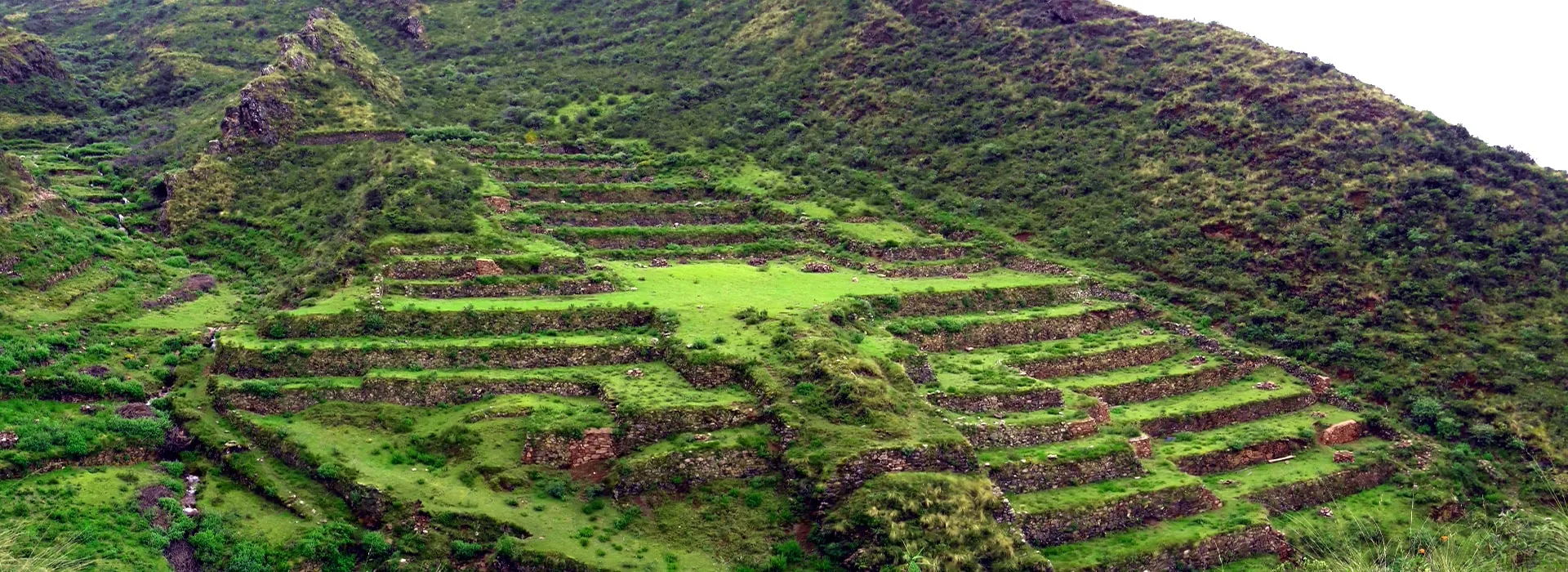 hummingbird terraces peru