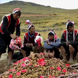 potato park peru